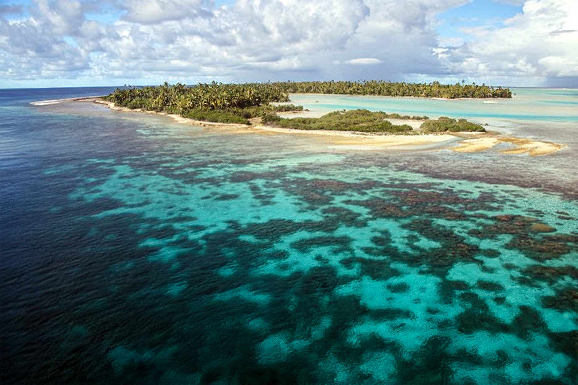 Five years across the Pacific